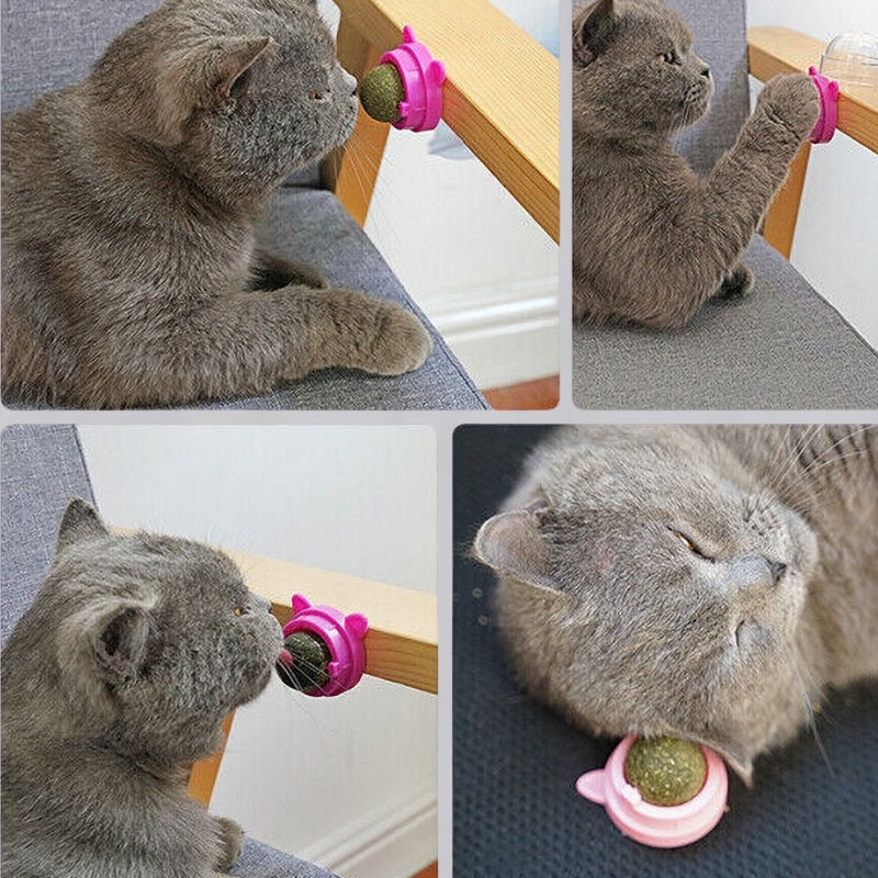 Catnip Scratcher - Wall Toy & Healthy Pet Product