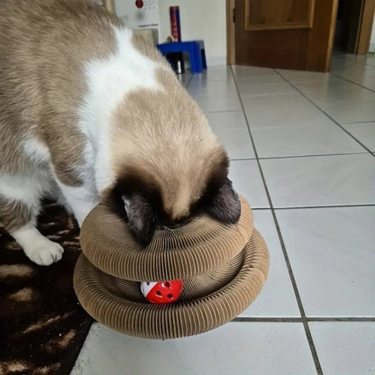 Magic Cat Scratcher Round Scratch Board & Toy