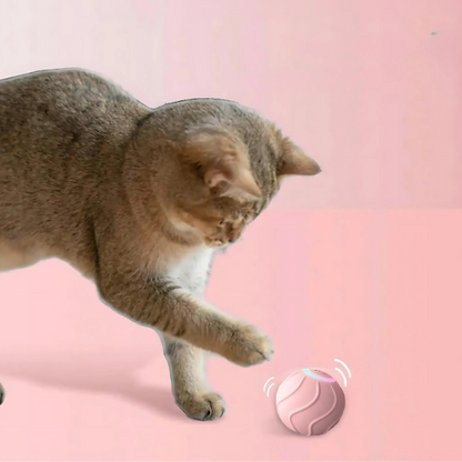 Smart Jumping Ball 2.0 Interactive Cat Toy