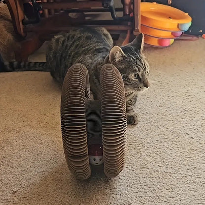 Magic Cat Scratcher Round Scratch Board & Toy