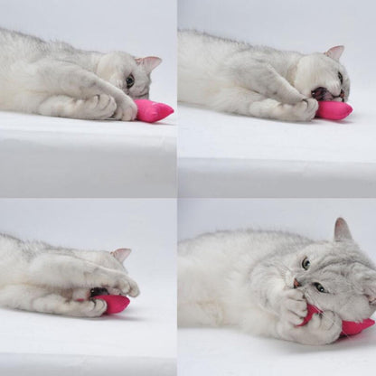 Catnip Chew Toy Plush Interactive for Teeth Grinding