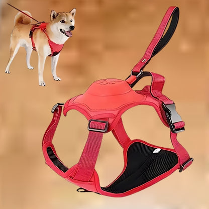 Adjustable Dog Harness & Leash Set – Anti-Burst, Flexible, Breathable