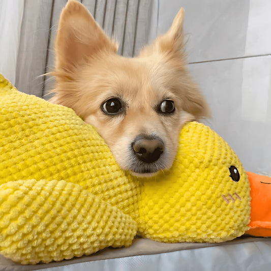 Plush Squeaky Duck Toy Durable Chew and Calming for Puppies