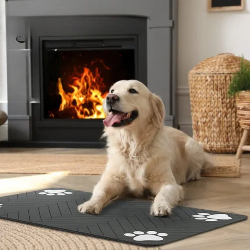 Absorbent Pet Feeding Mat with Waterproof Backing