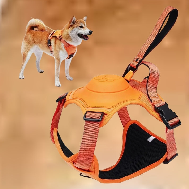 Adjustable Dog Harness & Leash Set – Anti-Burst, Flexible, Breathable