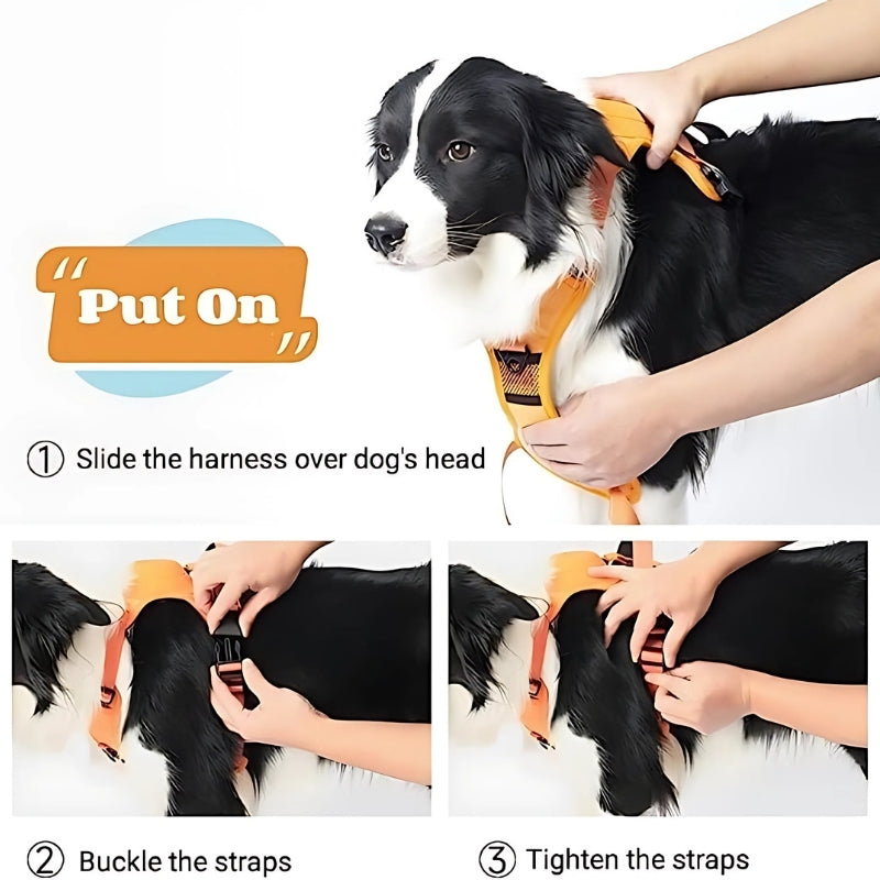 Adjustable Dog Harness & Leash Set – Anti-Burst, Flexible, Breathable