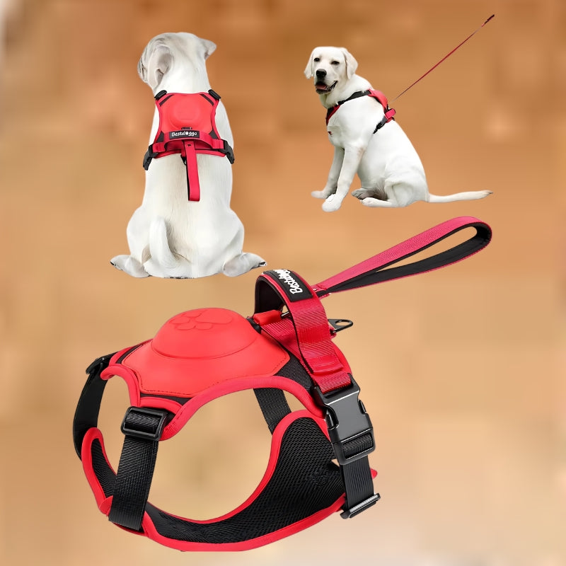 Adjustable Dog Harness & Leash Set – Anti-Burst, Flexible, Breathable